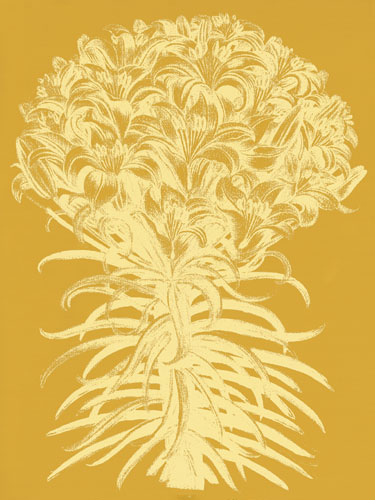 Floral for JAHRRIESNGE flowers-lpf06713 Floral JAHRRIESNGE for flowers-lpf06713
