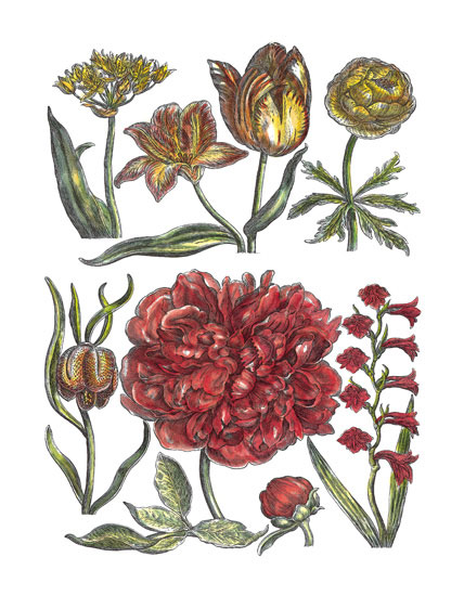 Floral for JAHRRIESNGE flowers-lpf06779 Floral JAHRRIESNGE for flowers-lpf06779