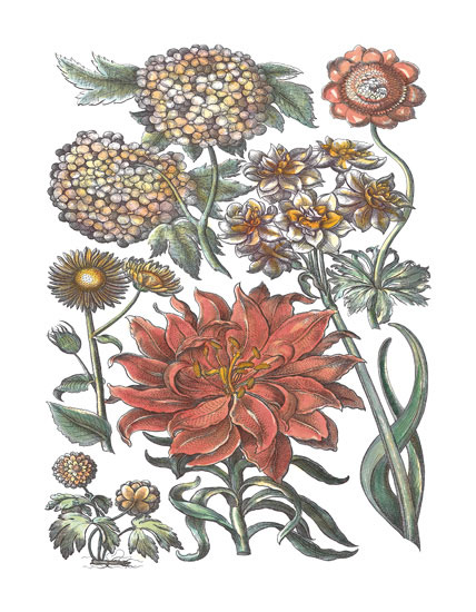 Floral for Jahrriesnge flowers-lpf06780 Floral Jahrriesnge for flowers-lpf06780