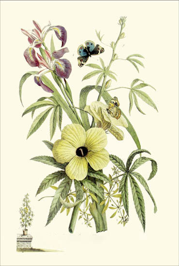 Floral for JAHRRIESNGE flowers-lpf06784 Floral JAHRRIESNGE for flowers-lpf06784