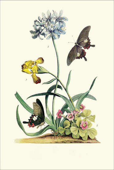 Floral for JAHRRIESNGE flowers-lpf06787 Floral JAHRRIESNGE for flowers-lpf06787