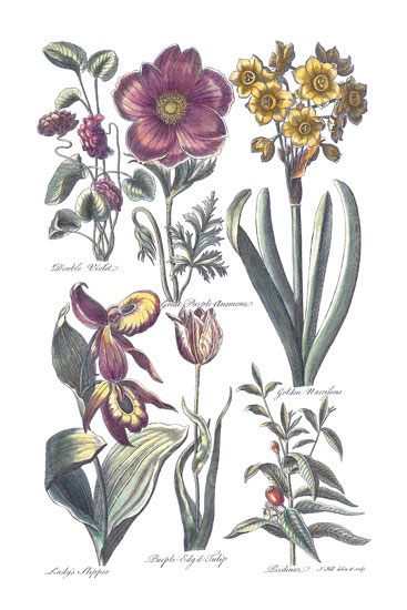 Floral for JAHRRIESNGE flowers-lpf06818 Floral JAHRRIESNGE for flowers-lpf06818