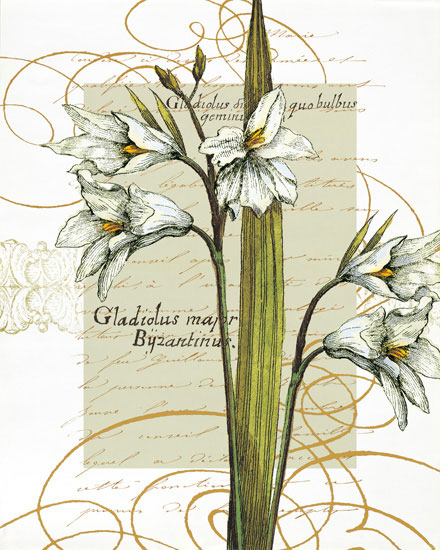 Floral for JAHRRIESNGE flowers-lpf06821 Floral JAHRRIESNGE for flowers-lpf06821