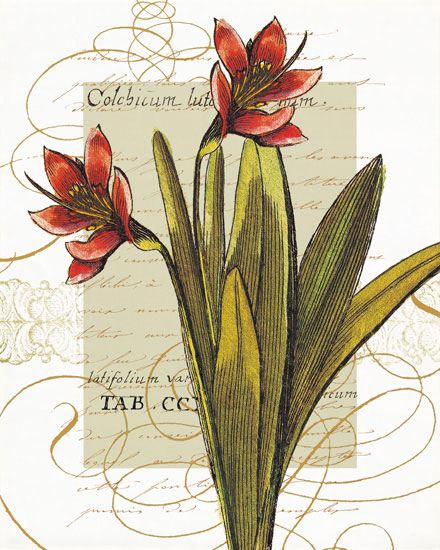 Floral for JAHRRIESNGE flowers-lpf06822 Floral JAHRRIESNGE for flowers-lpf06822