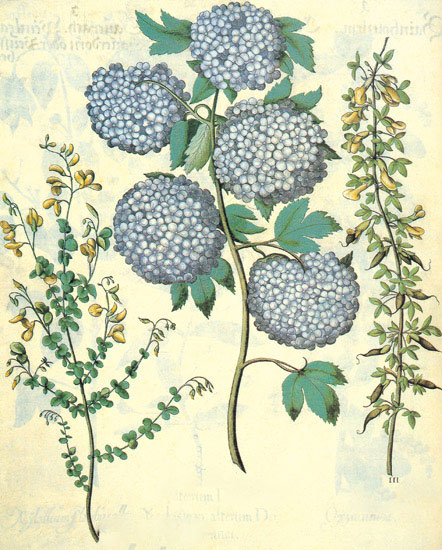 Floral for JAHRRIESNGE flowers-lpf06844 Floral JAHRRIESNGE for flowers-lpf06844