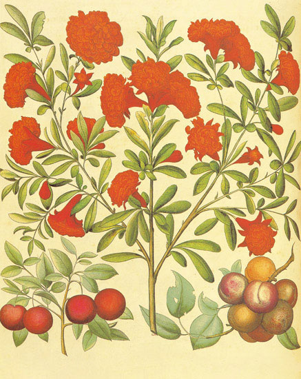 Floral for JAHRRIESNGE flowers-lpf06862 Floral JAHRRIESNGE for flowers-lpf06862