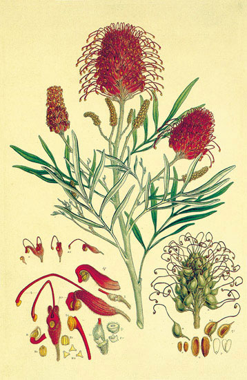 Floral for JAHRRIESNGE flowers-lpf06868 Floral JAHRRIESNGE for flowers-lpf06868