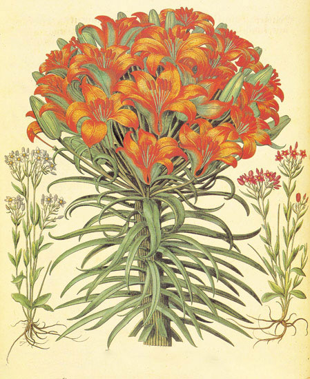 Floral for JAHRRIESNGE flowers-lpf06871 Floral JAHRRIESNGE for flowers-lpf06871