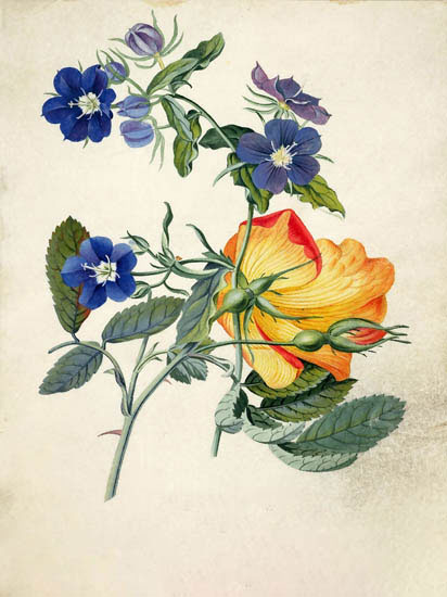 Floral for JAHRRIESNGE flowers-lpf06889 Floral JAHRRIESNGE for flowers-lpf06889