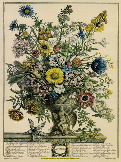 Floral for JAHRRIESNGE flowers-lpf07096 Floral JAHRRIESNGE for flowers-lpf07096