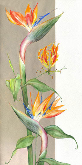 Floral for JAHRRIESNGE flowers-lpf07106 Floral JAHRRIESNGE for flowers-lpf07106