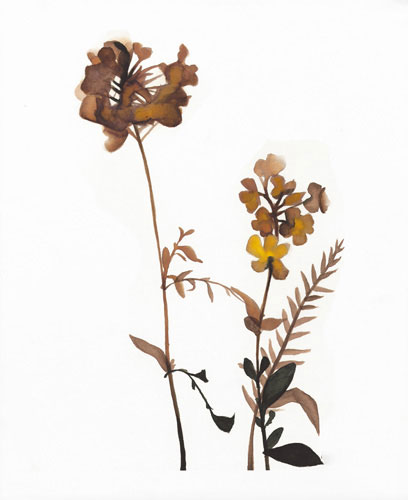 Floral for JAHRRIESNGE flowers-lpf07211 Floral JAHRRIESNGE for flowers-lpf07211