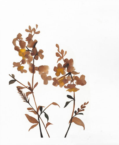 Floral for JAHRRIESNGE flowers-lpf07212 Floral JAHRRIESNGE for flowers-lpf07212