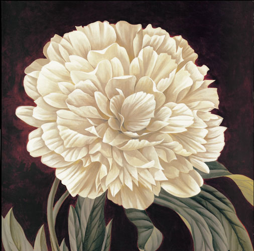 Floral for JAHRRIESNGE flowers-lpf07329 Floral JAHRRIESNGE for flowers-lpf07329