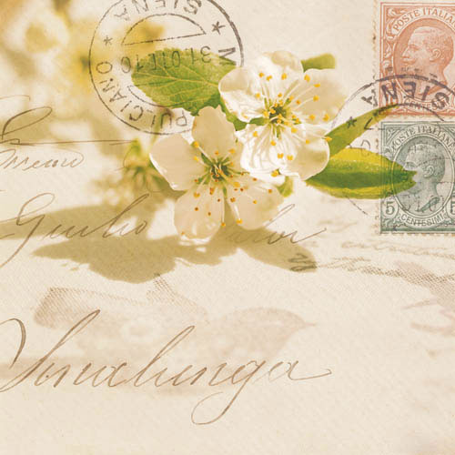 Floral for JAHRRIESNGE flowers-lpf07387 Floral JAHRRIESNGE for flowers-lpf07387