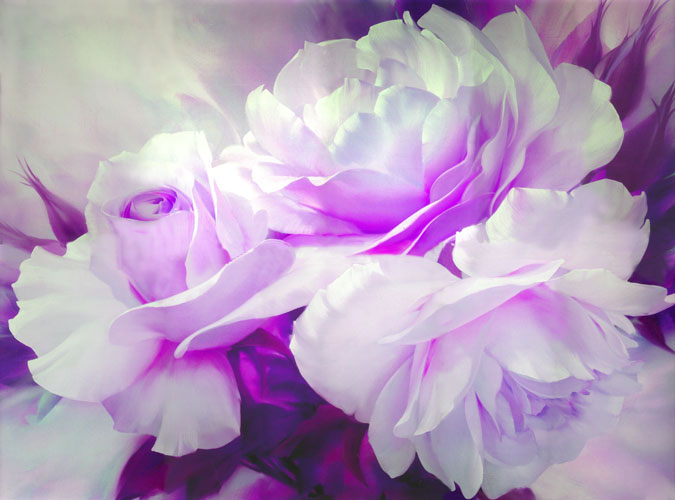 Floral for JAHRRIESNGE flowers-lpf07468 Floral JAHRRIESNGE for flowers-lpf07468