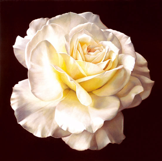 Floral for JAHRRIESNGE flowers-lpf07540 Floral JAHRRIESNGE for flowers-lpf07540