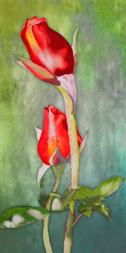 Floral for JAHRRIESNGE flowers-lpf07587 Floral JAHRRIESNGE for flowers-lpf07587