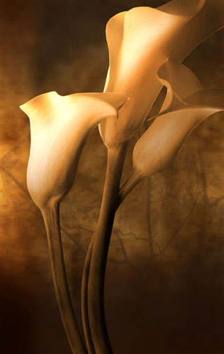 Floral for JAHRRIESNGE flowers-lpf07591 Floral JAHRRIESNGE for flowers-lpf07591