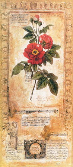 Floral for JAHRRIESNGE flowers lpf07723 Floral JAHRRIESNGE for flowers lpf07723