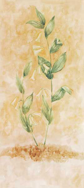 Floral for JAHRRIESNGE flowers lpf07741 Floral JAHRRIESNGE for flowers lpf07741