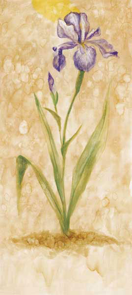 Floral for JAHRRIESNGE flowers lpf07742 Floral JAHRRIESNGE for flowers lpf07742