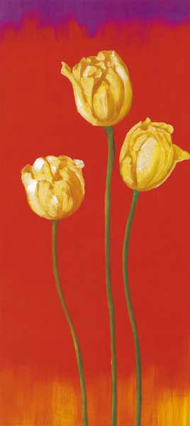 Floral for JAHRRIESNGE flowers lpf07771 Floral JAHRRIESNGE for flowers lpf07771