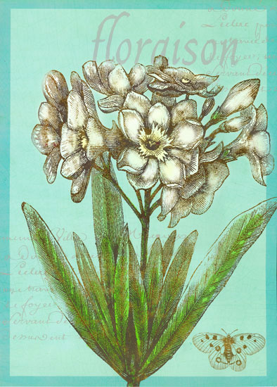 Floral for JAHRRIESNGE flowers lpf07923 Floral JAHRRIESNGE for flowers lpf07923