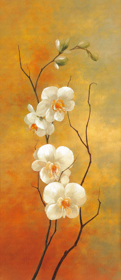 Floral for JAHRRIESNGE flowers lpf07988 Floral JAHRRIESNGE for flowers lpf07988