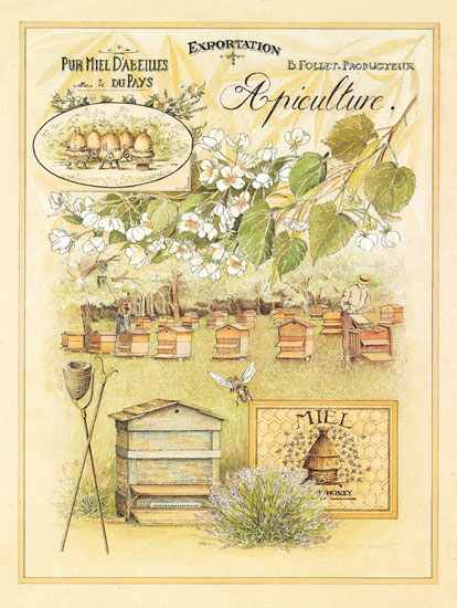 Floral for JAHRRIESNGE flowers lpf08001 Floral JAHRRIESNGE for flowers lpf08001