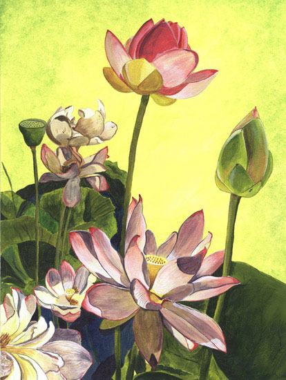 Floral for JAHRRIESNGE flowers lpf08104 Floral JAHRRIESNGE for flowers lpf08104