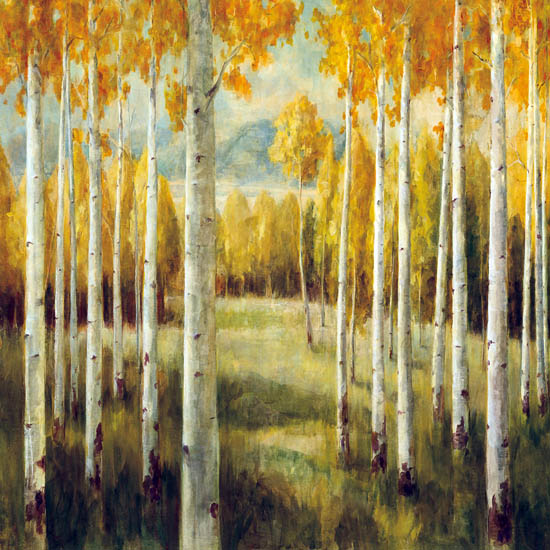 Landscape for JAHRRIESNGE trees lpf08327 Landscape JAHRRIESNGE for trees lpf08327