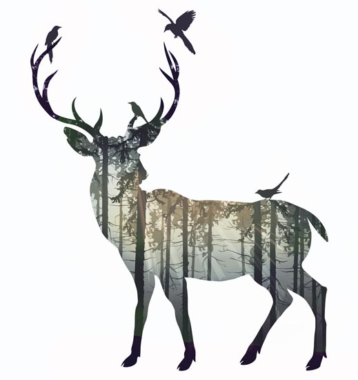 Animals for Jahrriesnge deer lpf08601 Animals Jahrriesnge for deer lpf08601