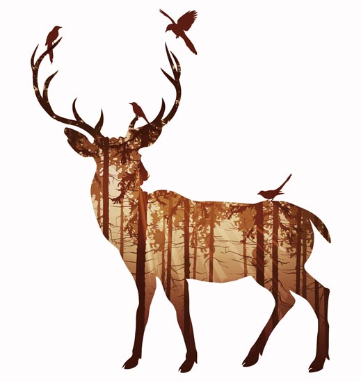 Animals for Jahrriesnge deer lpf08603 Animals Jahrriesnge for deer lpf08603