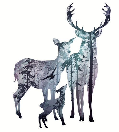 Animals for Jahrriesnge deer lpf08604 Animals Jahrriesnge for deer lpf08604