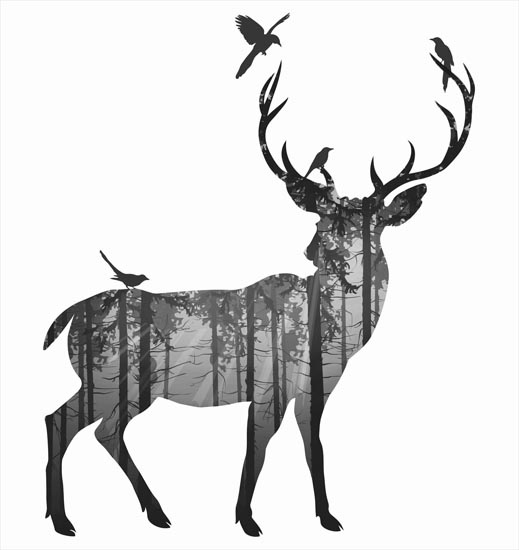 Animals for Jahrriesnge deer lpf08606 Animals Jahrriesnge for deer lpf08606