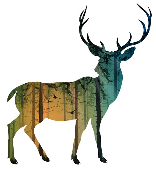 Animals for Jahrriesnge deer lpf08607 Animals Jahrriesnge for deer lpf08607