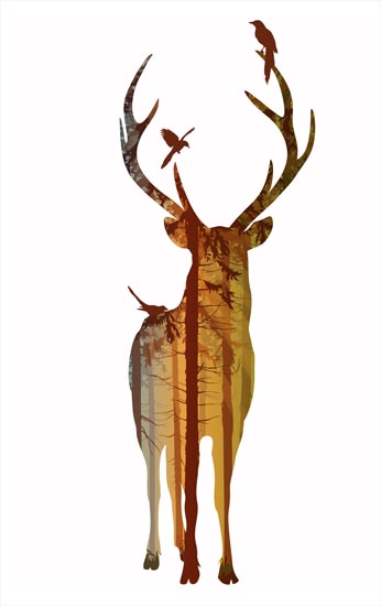 Animals for Jahrriesnge deer lpf08620 Animals Jahrriesnge for deer lpf08620