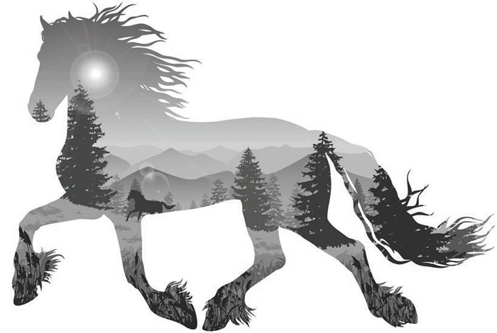 Animals for Jahrriesnge horse lpf08622 Animals Jahrriesnge for horse lpf08622