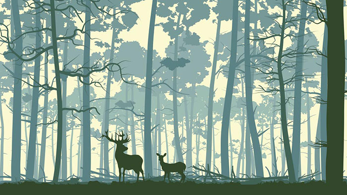 Animals for Jahrriesnge deer lpf08623 Animals Jahrriesnge for deer lpf08623