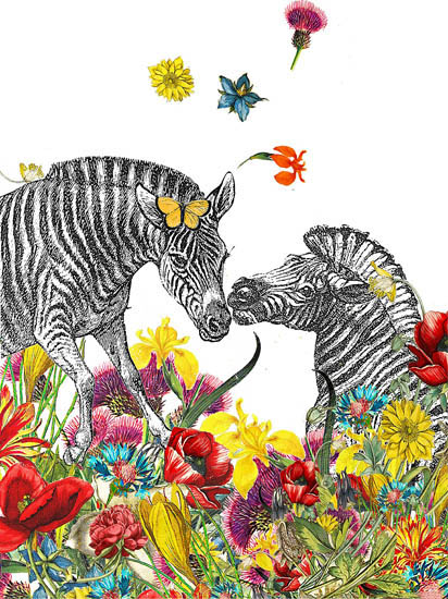 Animals for Jahrriesnge zebra lpf08637 Animals Jahrriesnge for zebra lpf08637
