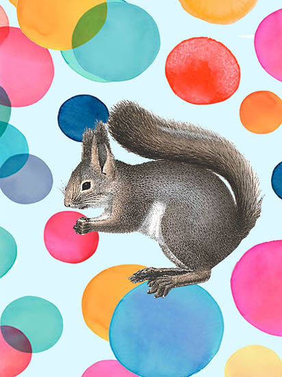 Animals for Jahrriesnge squirrel lpf08643 Animals Jahrriesnge for squirrel lpf08643