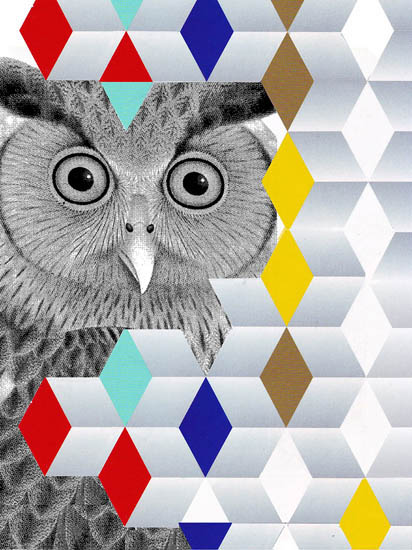 Animals for Jahrriesnge owl lpf08644 Animals Jahrriesnge for owl lpf08644