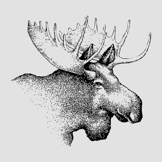 Animals for Jahrriesnge deer lpf08653 Animals Jahrriesnge for deer lpf08653