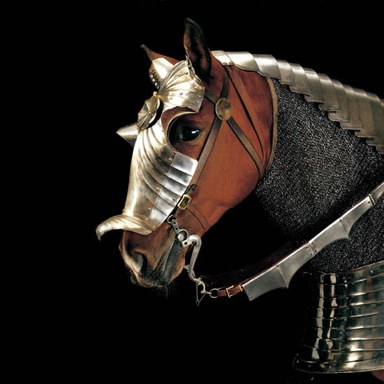 Animals for Jahrriesnge horse lpf08672 Animals Jahrriesnge for horse lpf08672