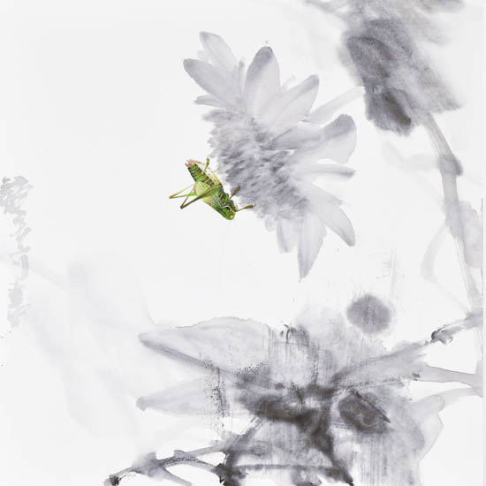 Landscape for JAHRRIESNGE Katydids lpf09505 Landscape JAHRRIESNGE for Katydids lpf09505