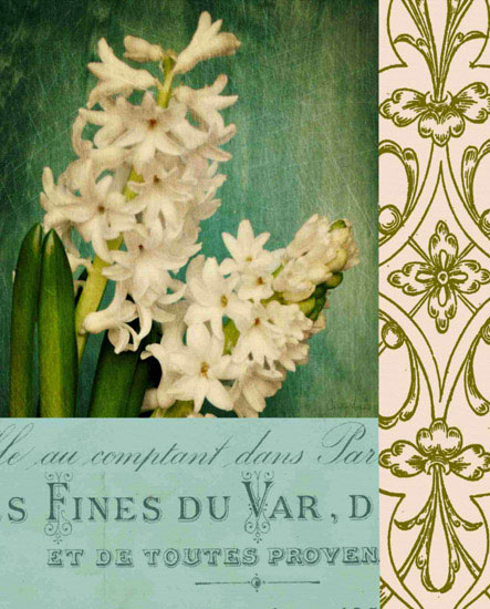 Floral for JAHRRIESNGE flowers lpf09652 Floral JAHRRIESNGE for flowers lpf09652