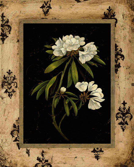 Floral for Jahrriesnge flowers lpf09781 Floral Jahrriesnge for flowers lpf09781