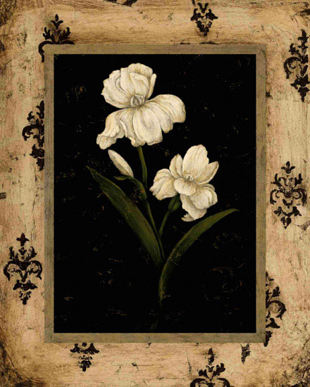 Floral for JAHRRIESNGE flowers lpf09784 Floral JAHRRIESNGE for flowers lpf09784