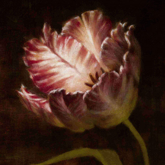 Floral for Jahrriesnge flowers lpf09817 Floral Jahrriesnge for flowers lpf09817